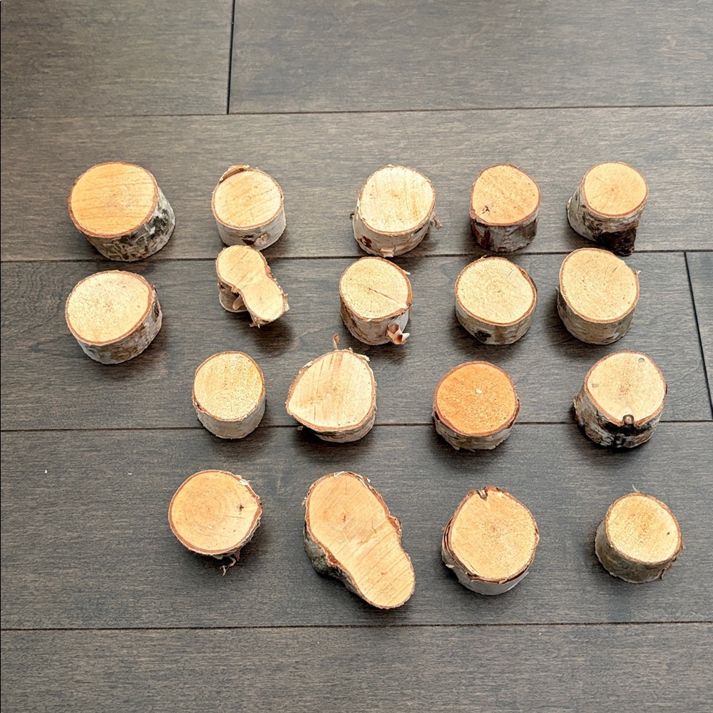 Natural Wood Slices for Crafts, DIY Woodwork, Real Birch Logs, Miniatures Tree